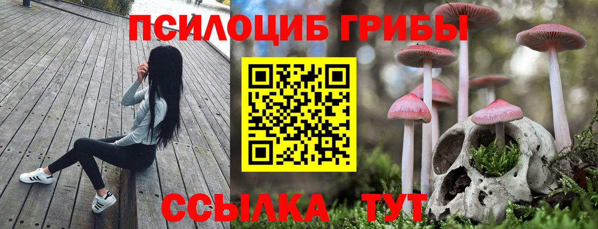 Королёв  Галлюциногенные грибы Psilocybe  где можно купить   Вход с VPN 